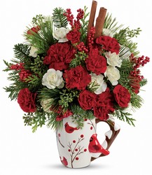 Send a Hug Christmas Cardinal Cottage Florist Lakeland Fl 33813 Premium Flowers lakeland